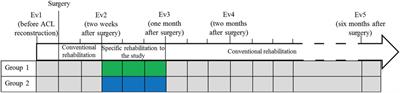 Comparison of an Innovative Rehabilitation, Combining Reduced Conventional Rehabilitation with Balneotherapy, and a Conventional Rehabilitation after Anterior Cruciate Ligament Reconstruction in Athletes